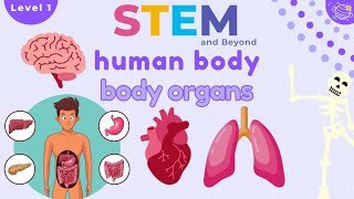 Human Body Organs  Science For Kids  STEM Home Learning [upl. by Yrotciv115]