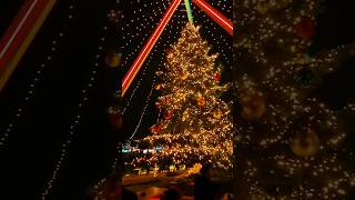 Christmas Market In Winterthur Switzerland wiehnachtsmarkt winterthur switzerland travelvlog [upl. by Zadoc235]