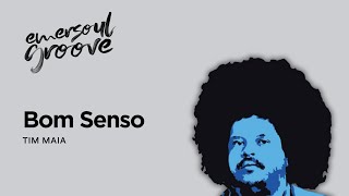 Bom Senso Tim Maia  Por Emersoul Groove [upl. by Hillinck34]