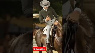 Doma vaquera remix dj musica music cover horse caballos edit caballonacional equestrian [upl. by Prestige]