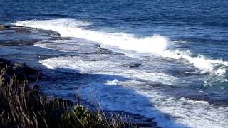 Iluka Bluff Lookout  NSW Australia [upl. by Eanert]