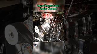 Sound Supercharge Dodge Charger 1970 supercharged shorts dodgecharger [upl. by Ylrrad]