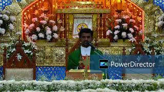 AUGUST 5 2024 TAMIL DAILY HOMILY FR NALLA JACOB DASS [upl. by Simmonds]