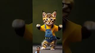 cat cutecate funny funnycate dance catie catee keşfet cattos edit [upl. by Hasile]