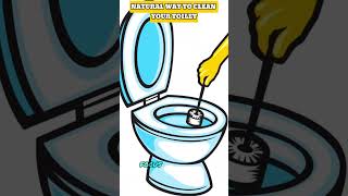 HOW TO CLEAN YOUR TOILET IN A NATURAL WAY [upl. by Atterahs543]