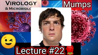 mumps mumps symptoms mumps virus microbiology VIROLOGY MICROBIOLOGY LEVINSON [upl. by Darren751]