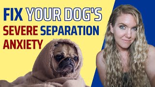 Fix Your Dog’s Separation Anxiety PERMANENTLY [upl. by Ginnie694]