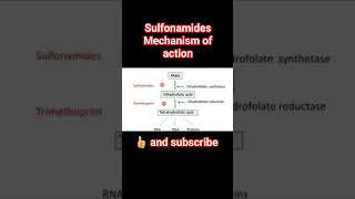 sulfonamides mechanism of actionpharmacology physiology [upl. by Lleda]