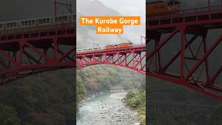 A ‘gorgeous’ journey  Kurobe Gorge Railway [upl. by Yrome]