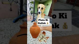 Pluto Ki Gullak 🤩  Paisa Hi Paisa 🤑  minivlog [upl. by Bryanty]