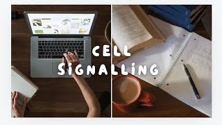 Cell Signalling Key Pathways Mechanisms and function study notes [upl. by Eatton]