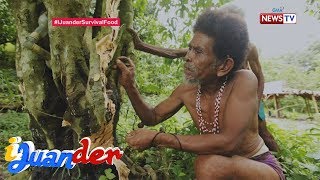 iJuander Paano nakaligtas ang mga katutubong Aeta sa pagsabog ng Mt Pinatubo [upl. by Hatch]