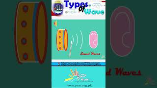 Types Of Wave I Simple Harmonic Motion and Waves Iphysics  Penacademy Typesofwave [upl. by Aymik]