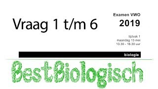 biologie examen VWO 2019 eerste tijdvak vraag 1 tm 6 [upl. by Enyala]