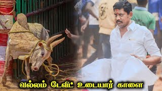 வல்லம் டேவிட் உடையார் காளை  Thanjai Jallikattu King Vallam David Udayar Bull [upl. by Sena]