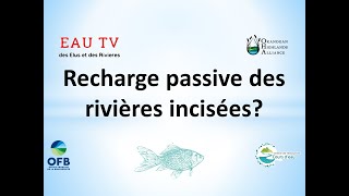 Complement Ep1 Recharge passive des rivières incisées Quid des ouvrages type castor [upl. by Yoo]