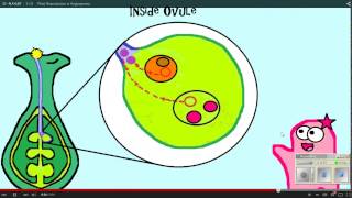 Plant Reproduction Amoeba Sisters WS 12 11 14 [upl. by Eibmab538]