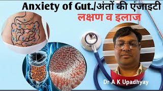 Gut Anxiety  अंतों की एंजाइटी क्या होती है [upl. by Grissom]