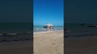 DIA DE PRAIA  Cabedelo PB youtubeshorts praia paraiba beach travel shorts barco [upl. by Eirrotal]