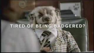 Badger Car Dealer TV Commercials Compilation Video [upl. by Eeniffar994]