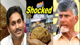 Animal Fat in Tirupati Laddu Prasadam During Jagans Regime AP CM Chandrababu Naidu Accuses Bagheer [upl. by Sprung]