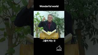 What a wonderful world 초곡장로교회 김형익목사 [upl. by Anaeel]