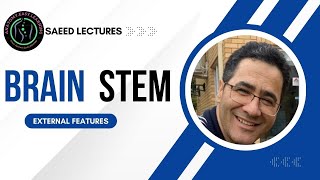 BrainStem External Features [upl. by Sarita314]