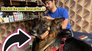 Dollar ko hospital la ka Jana prha popular foryou viralvideo trending dog youtube kitten [upl. by Kcirredal973]