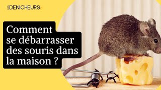 🐁 Souris dans la maison  6 astuces de grandmère pour s’en débarrasser  🐭 [upl. by Nnaitsirhc56]