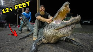 The BIGGEST ALLIGATOR we ever Hunted REMOVED from YouTube [upl. by Firooc]