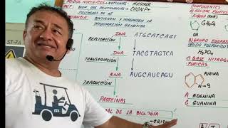 ACIDOS NUCLEICOS CLASE COMPLETA CON EL PROFESOR MÁS DIDÁCTICO DE AMÉRICA LATINA [upl. by Lorin518]