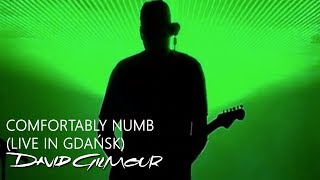 David Gilmour  Comfortably Numb Live In Gdańsk [upl. by Gitt363]