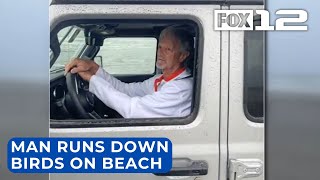 Driver runs down kills birds on beach in Ocean Park [upl. by Foscalina]