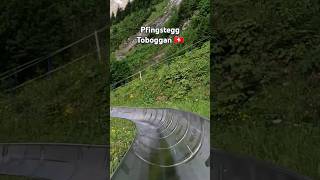 Pfingstegg toboggan Grindelwald travel shorts grindelwald switzerland toboggan myswitzerland [upl. by Peppard]