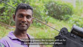 Sky Cable to transport tea harvest English [upl. by Bailar635]