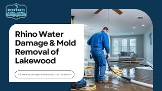 Rhino Water Damage amp Mold Removal of Lakewood  Water Damage Restoration Lakewood CO  Mold Removal [upl. by Calysta]