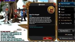 AQW Nulgath Birthday Shop And Nulgath Challenge Pet Quests 2014 [upl. by Huan]