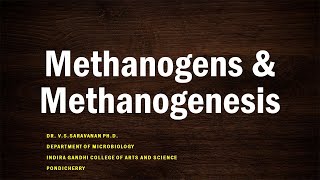 Methanogenesis [upl. by Dnomyad]