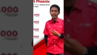 IndiHome Paket Phoenix [upl. by Oecile380]