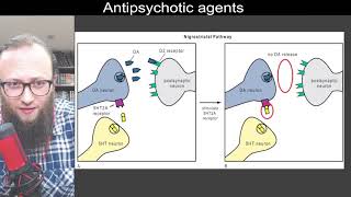 05 12  5HT2A receptor antagonism and 5HT1A partial agonism  هابطات السيريتونين 2 أ [upl. by Anelrats]