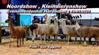 Noord show  kleindierenshow Evenementenhal Hardenberg 18 01 2024 [upl. by Fina59]