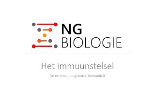 Het immuunstelsel  de externe aangeboren immuniteit [upl. by Oremodlab590]