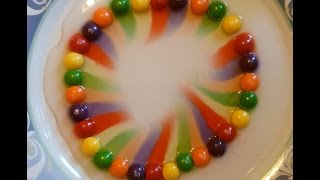 Kids Experiment  SKITTLES RAINBOW [upl. by Eedolem]