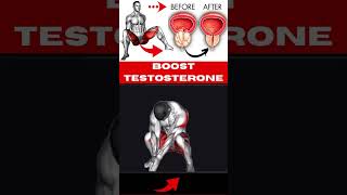 Simple Home Exercise to Boost Testosterone Naturally  Quick amp Effective Routine exercisecorrector [upl. by Weixel592]