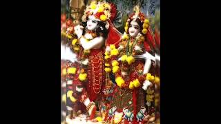 Achutam Keshavam Krishna Damodaram 🥀✨🥰🥰shortvideo [upl. by Noraf799]