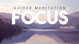 5 Minute Meditation For Focus amp Concentration  Improve amp Strengthen Your Focus With Mindfulness [upl. by Lilahk]