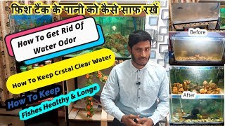 How to Keep CRYSTAL CLEAR water in your AQUARIUMS In Hindi [upl. by Eidolem]