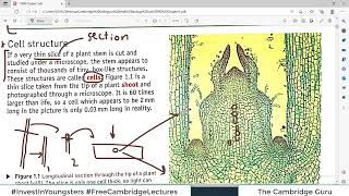 Chp1 CELLS Part1  5090 Cambridge O Level Biology  Hodders Biology  The Cambridge Guru [upl. by Haldas]