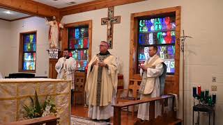 Bishop Martins remarks before Mass July 14 2024 [upl. by Yttocs671]