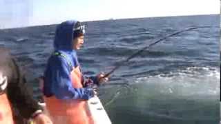 Hi Flier 30 Pound Striper Trolling Umbrella Rig for Nick DeG 111013 [upl. by Ainola]